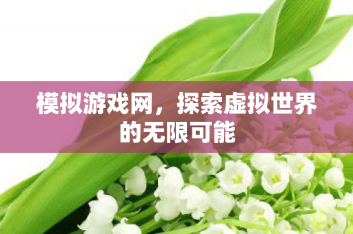模拟游戏网,探索虚拟世界的无限可能 模拟游戏网,探索虚拟世界的无限可能