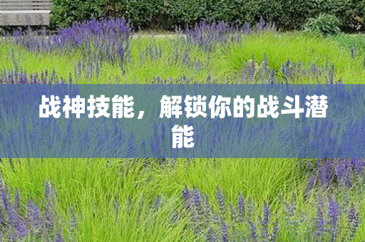 战神技能，解锁你的战斗潜能