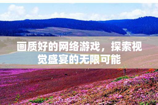 画质好的网络游戏，探索视觉盛宴的无限可能