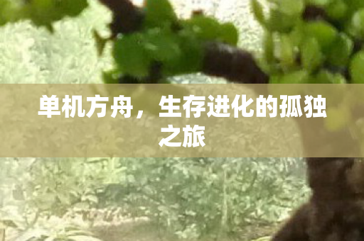 单机方舟，生存进化的孤独之旅