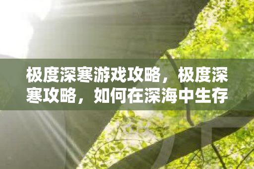 极度深寒游戏攻略，极度深寒攻略，如何在深海中生存与探索