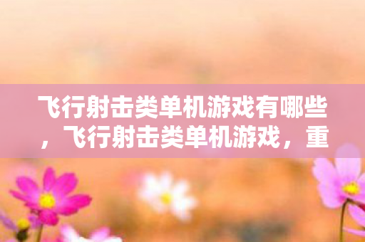 飞行射击类单机游戏有哪些，飞行射击类单机游戏，重温经典，挑战极限