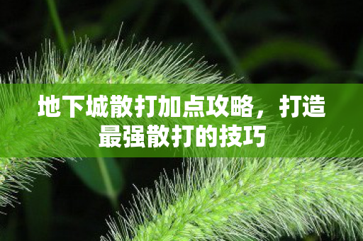 地下城散打加点攻略，打造最强散打的技巧