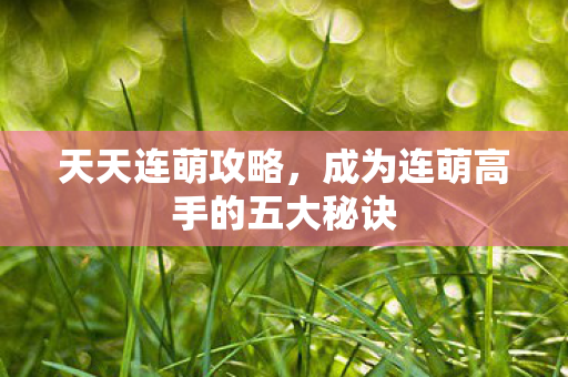 天天连萌攻略，成为连萌高手的五大秘诀