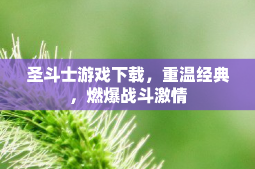 圣斗士游戏下载，重温经典，燃爆战斗激情