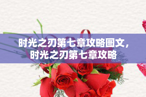 时光之刃第七章攻略图文，时光之刃第七章攻略