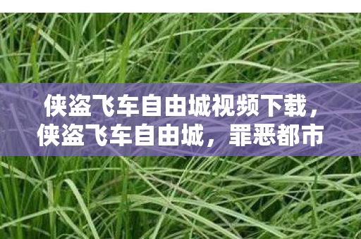 侠盗飞车自由城视频下载，侠盗飞车自由城，罪恶都市的冒险之旅
