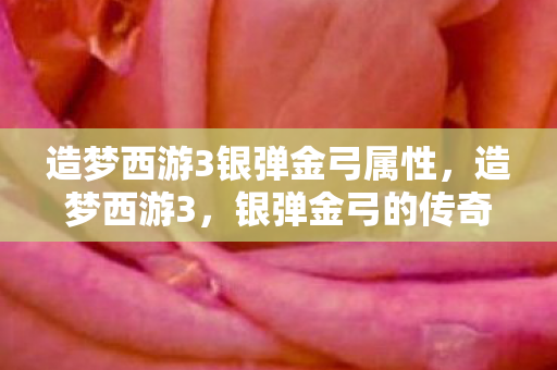 造梦西游3银弹金弓属性，造梦西游3，银弹金弓的传奇之旅