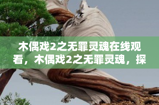 木偶戏2之无罪灵魂在线观看，木偶戏2之无罪灵魂，探索人性的深度与广度