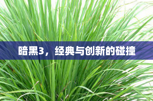 暗黑3，经典与创新的碰撞