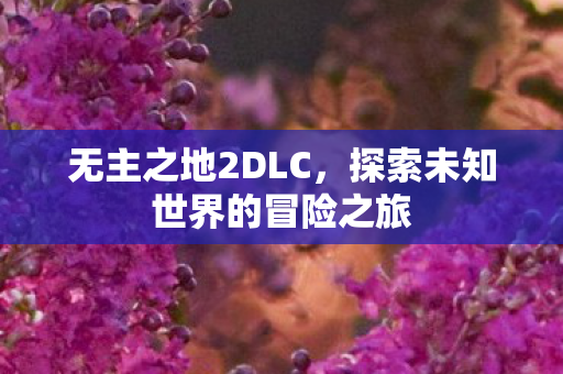 无主之地2DLC,探索未知世界的冒险之旅 无主之地2DLC,探索未知世界的冒险之旅
