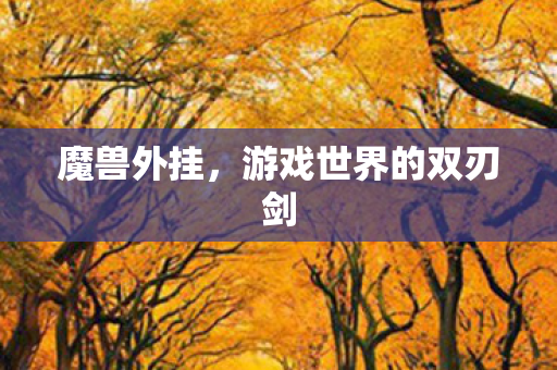 魔兽外挂,游戏世界的双刃剑 魔兽外挂,游戏世界的双刃剑