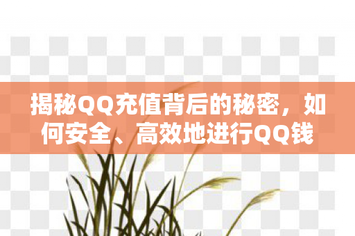 揭秘QQ充值背后的秘密，如何安全、高效地进行QQ钱包充值