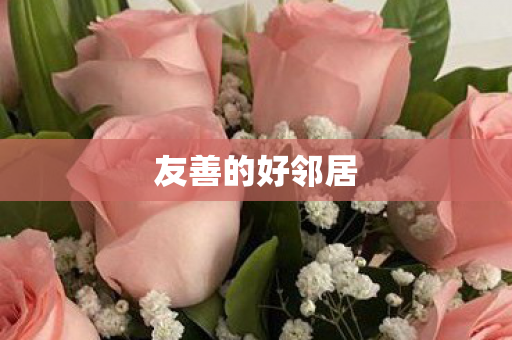 友善的好邻居