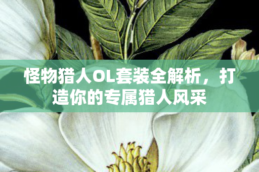 怪物猎人OL套装全解析，打造你的专属猎人风采