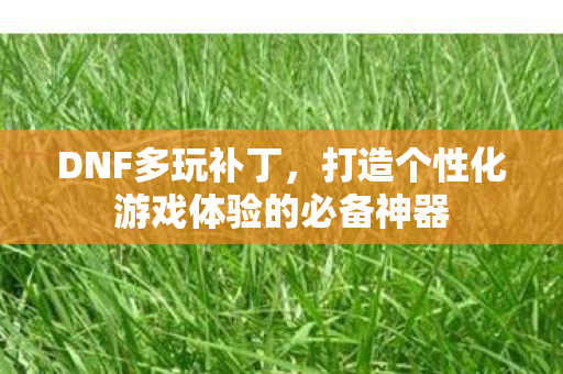 DNF多玩补丁，打造个性化游戏体验的必备神器