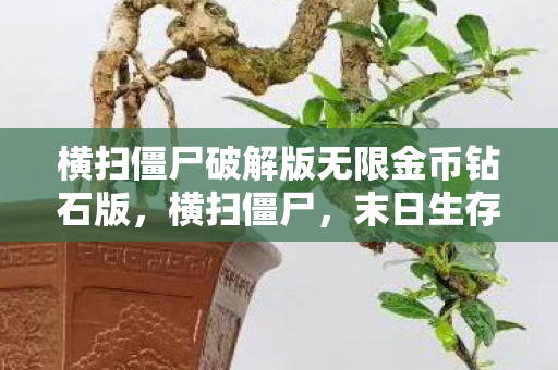 横扫僵尸破解版无限金币钻石版，横扫僵尸，末日生存与策略并行的冒险之旅