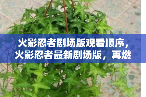 火影忍者剧场版观看顺序，火影忍者最新剧场版，再燃的羁绊