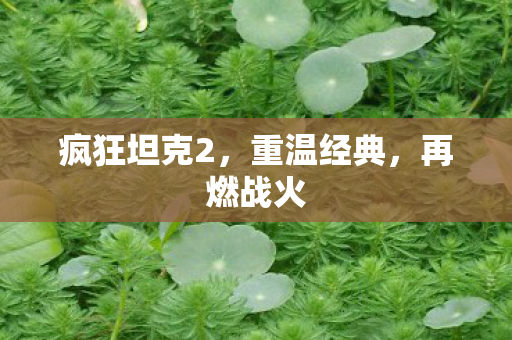 疯狂坦克2，重温经典，再燃战火