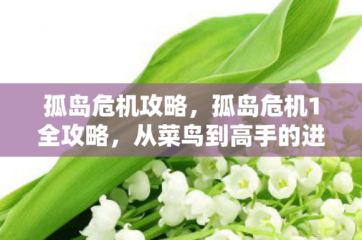 从菜鸟到高手的进化之路图片