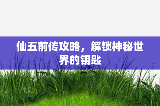 仙五前传攻略，解锁神秘世界的钥匙