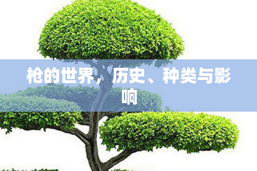 枪的世界,历史、种类与影响 枪的世界,历史、种类与影响