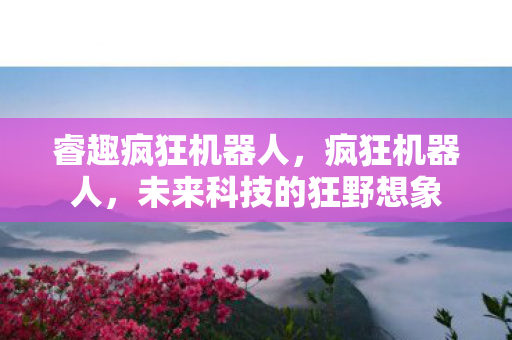 睿趣疯狂机器人，疯狂机器人，未来科技的狂野想象