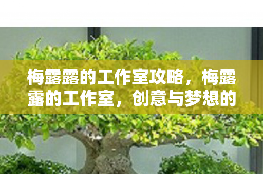 梅露露的工作室攻略,梅露露的工作室,创意与梦想的交汇点 梅露露的工作室攻略,梅露露的工作室,创意与梦想的交汇点