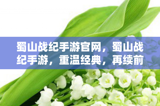 蜀山战纪手游官网，蜀山战纪手游，重温经典，再续前缘
