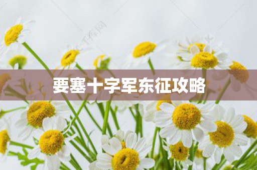 要塞十字军东征攻略 要塞十字军东征攻略