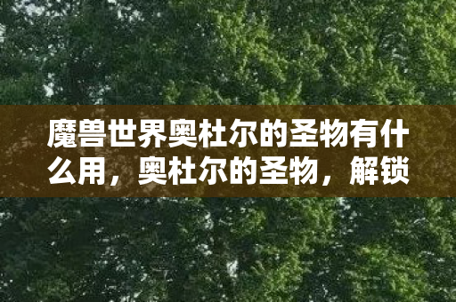 魔兽世界奥杜尔的圣物有什么用，奥杜尔的圣物，解锁古老力量的神秘钥匙