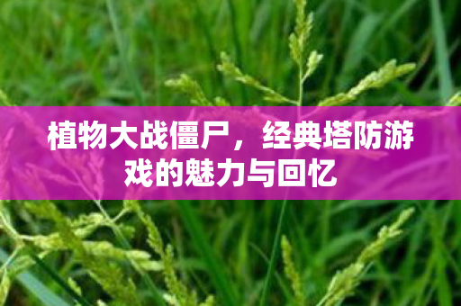 植物大战僵尸,经典塔防游戏的魅力与回忆 植物大战僵尸,经典塔防游戏的魅力与回忆