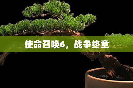 使命召唤6，战争终章