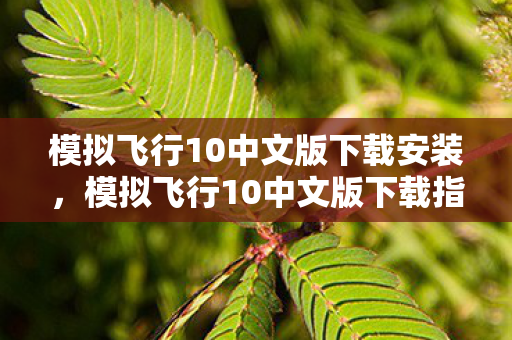 模拟飞行10中文版下载安装，模拟飞行10中文版下载指南
