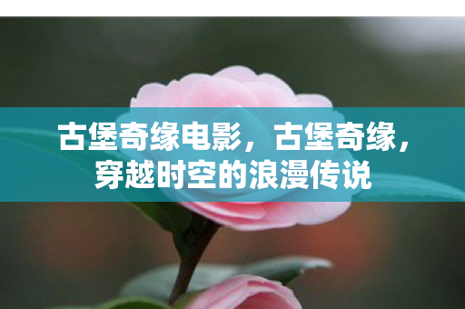 古堡奇缘电影，古堡奇缘，穿越时空的浪漫传说