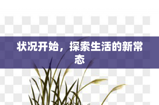 状况开始，探索生活的新常态