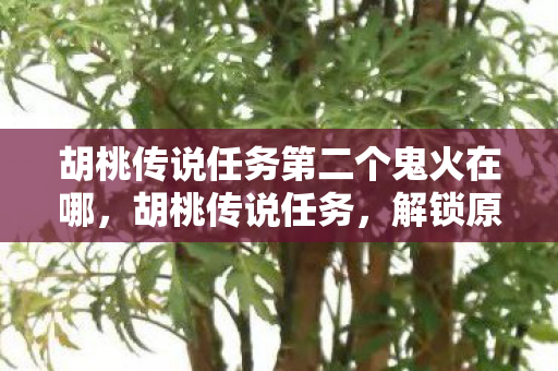 胡桃传说任务第二个鬼火在哪，胡桃传说任务，解锁原神世界的秘密