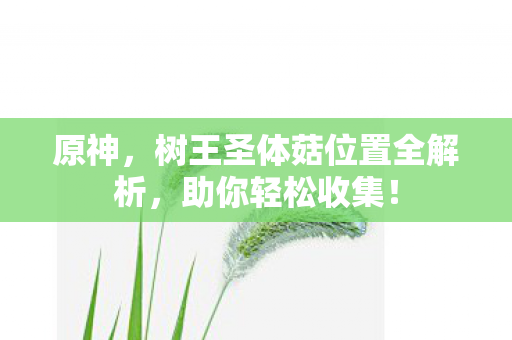 原神，树王圣体菇位置全解析，助你轻松收集！