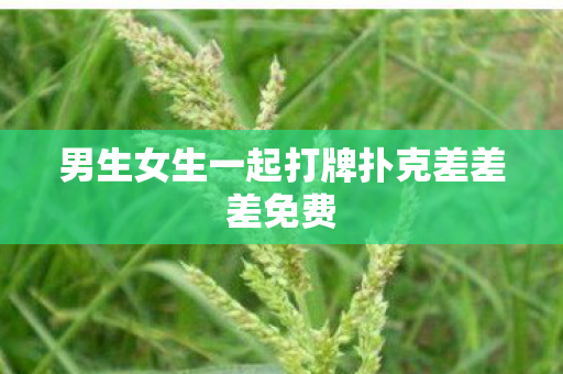 男生女生一起打牌扑克差差差免费