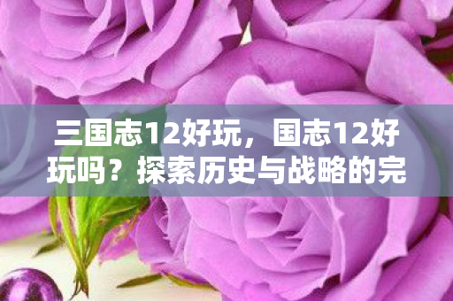 三国志12好玩,国志12好玩吗?探索历史与战略的完美结合 三国志12好玩,国志12好玩吗?探索历史与战略的完美结合