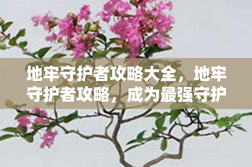 地牢守护者攻略大全，地牢守护者攻略，成为最强守护者的秘诀