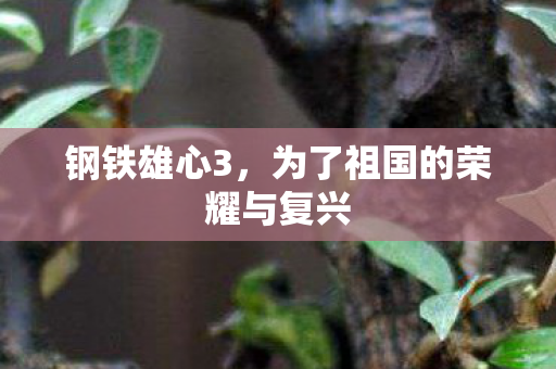 钢铁雄心3，为了祖国的荣耀与复兴