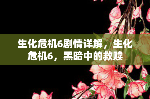 生化危机6剧情详解，生化危机6，黑暗中的救赎
