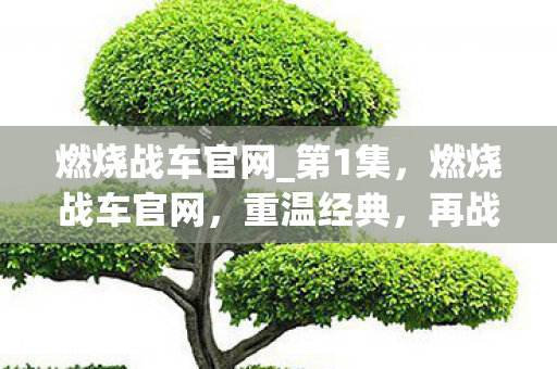 燃烧战车官网_第1集,燃烧战车官网,重温经典,再战沙场 燃烧战车官网_第1集,燃烧战车官网,重温经典,再战沙场