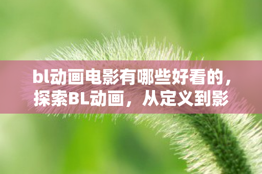 bl动画电影有哪些好看的，探索BL动画，从定义到影响