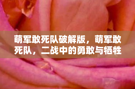 萌军敢死队破解版，萌军敢死队，二战中的勇敢与牺牲