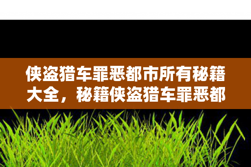 侠盗猎车罪恶都市所有秘籍大全，秘籍侠盗猎车罪恶都市，重温经典，探索自由之城的秘密