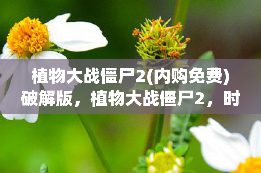 植物大战僵尸2(内购免费)破解版，植物大战僵尸2，时空之旅的奥秘