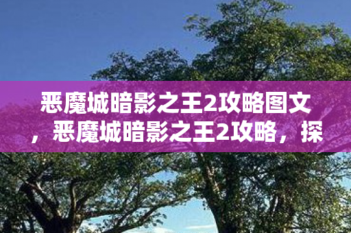 恶魔城暗影之王2攻略图文，恶魔城暗影之王2攻略，探索未知，挑战极限