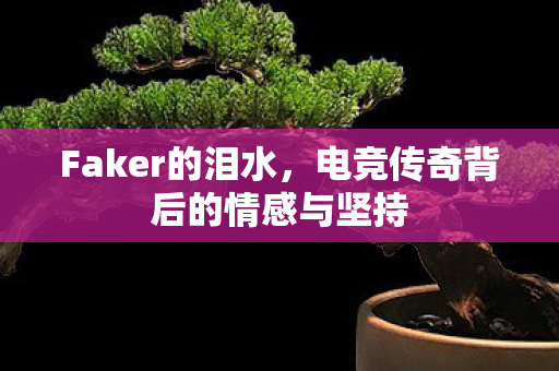 Faker的泪水，电竞传奇背后的情感与坚持